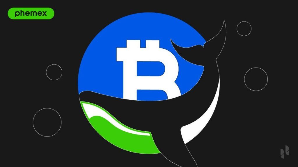What Are Bitcoin Whales? Their Power in Crypto Markets