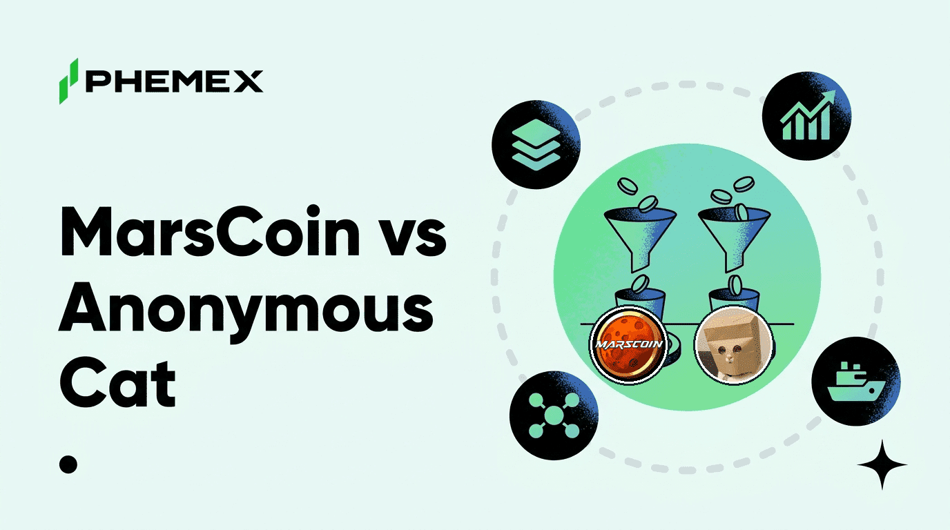 MarsCoin vs Anonymous Cat and Why One Pays in SpaceX Stock and One in Zcash