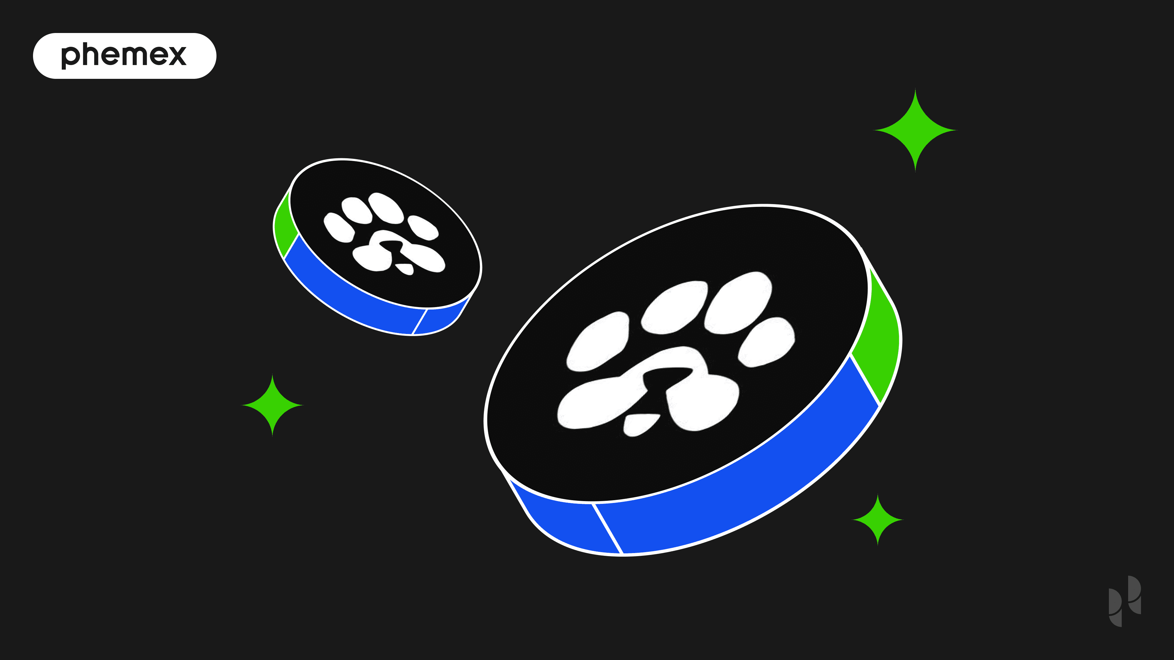 Was ist PAWS Coin? Die Solana-Memecoin, die als Telegram-Mini-App begann