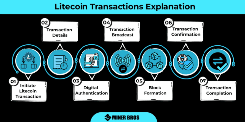 Litecoin Transactions