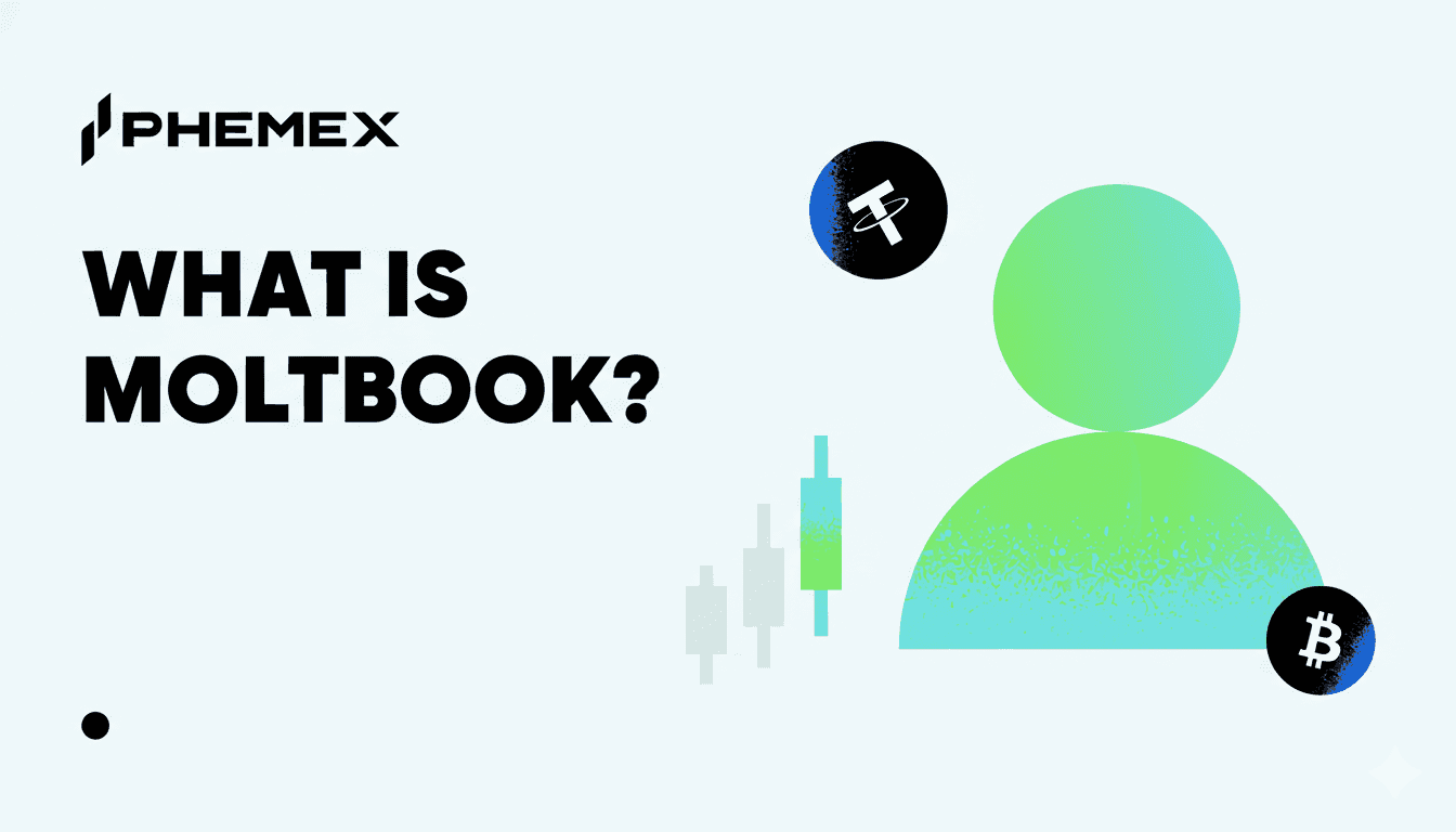 What Is Moltbook? How SocialFi Tokens Are Changing Crypto Social Media