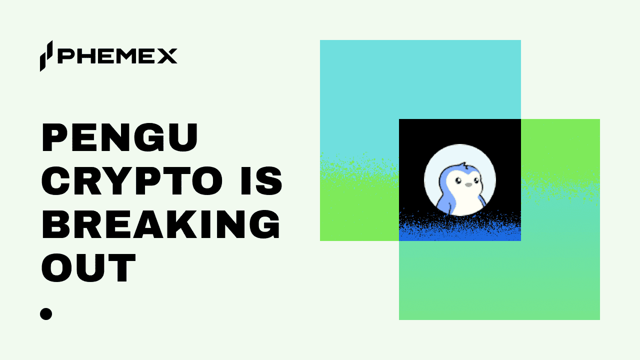 PENGU Tiền điện tử tăng mạnh: Đâu là động lực phía sau?