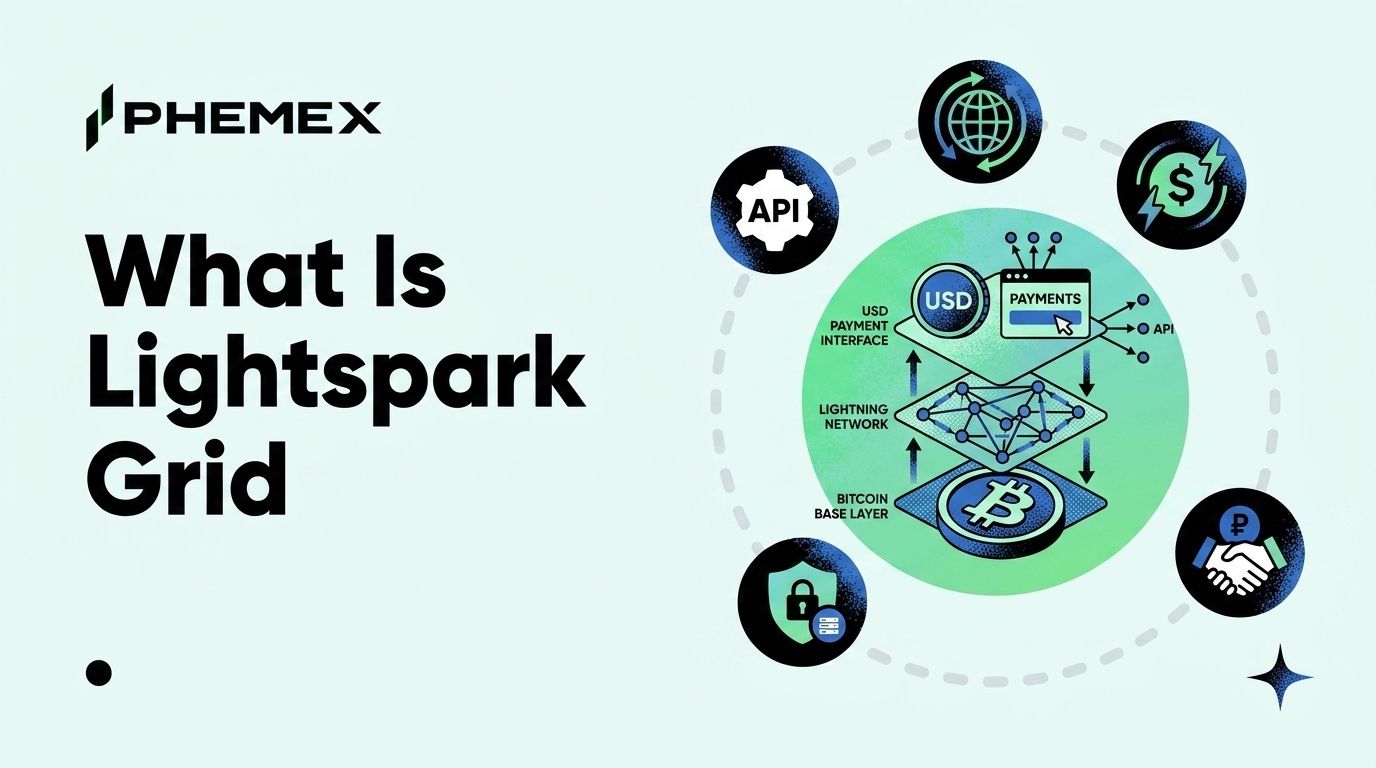 What Is Lightspark and How Grid Global Accounts Turn Bitcoin Into a Dollar Payment Network