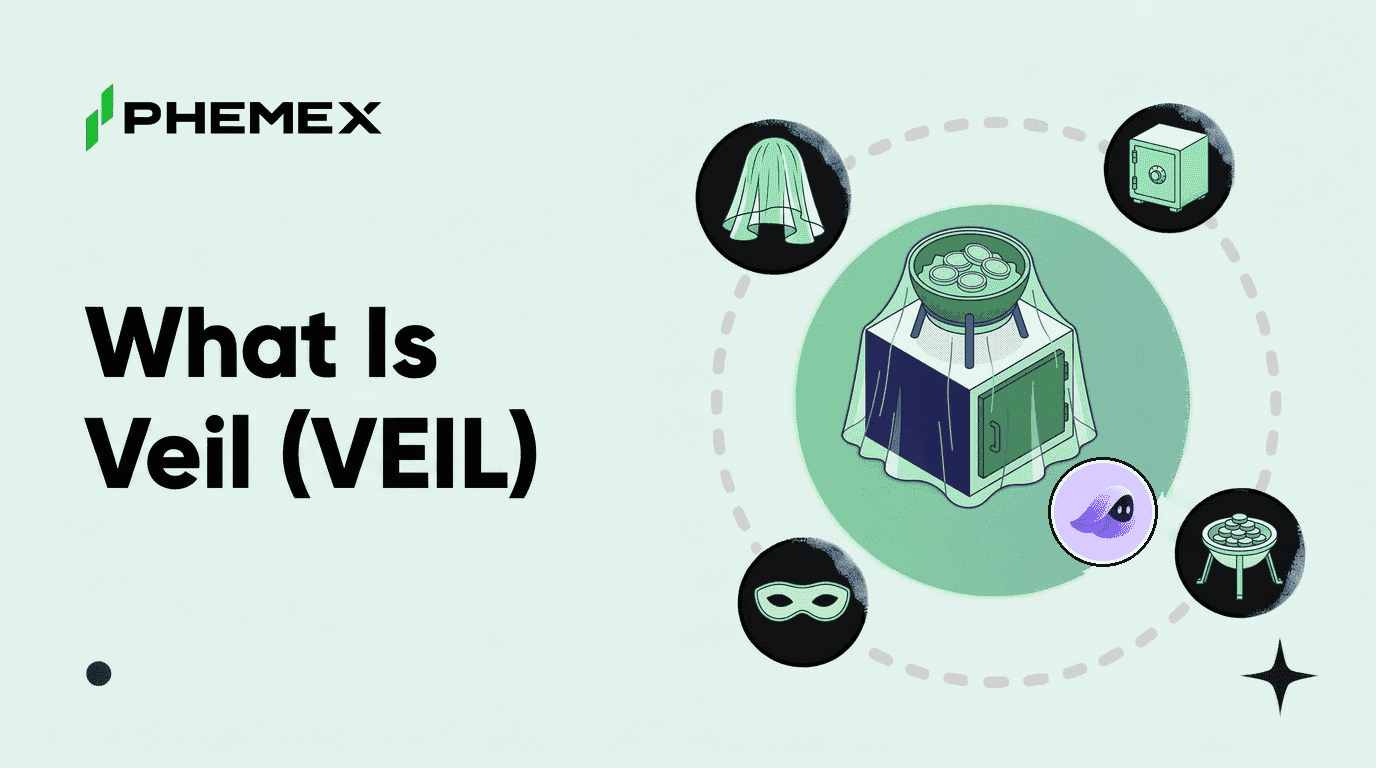 Veil (VEIL) Nedir? Solana Gizlilik Katmanı Token'ı