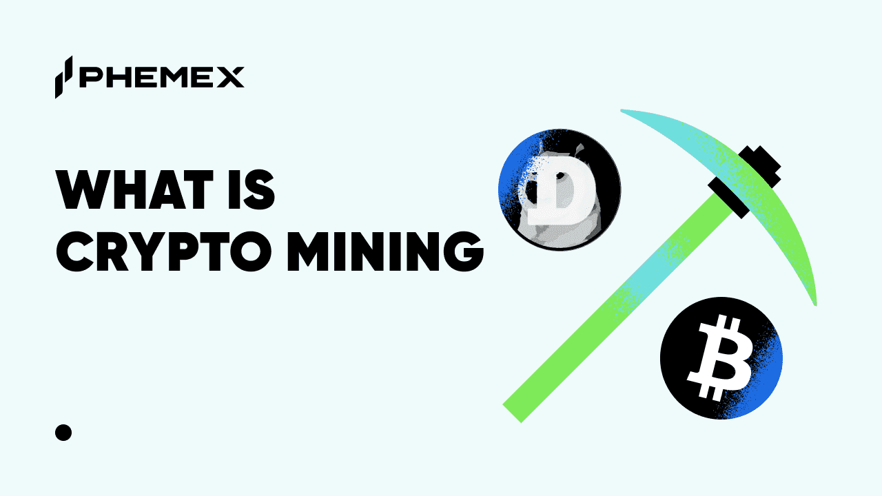 Learn All Crypto Topics | Phemex Academy