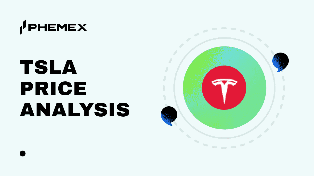 Terafab Tesla: Почему акции TSLA падают на 17% после крупнейшего запуска Маска