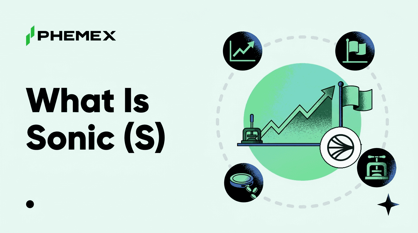 Sonic (S) Là Gì? Giải Thích Chuỗi Ex-Fantom