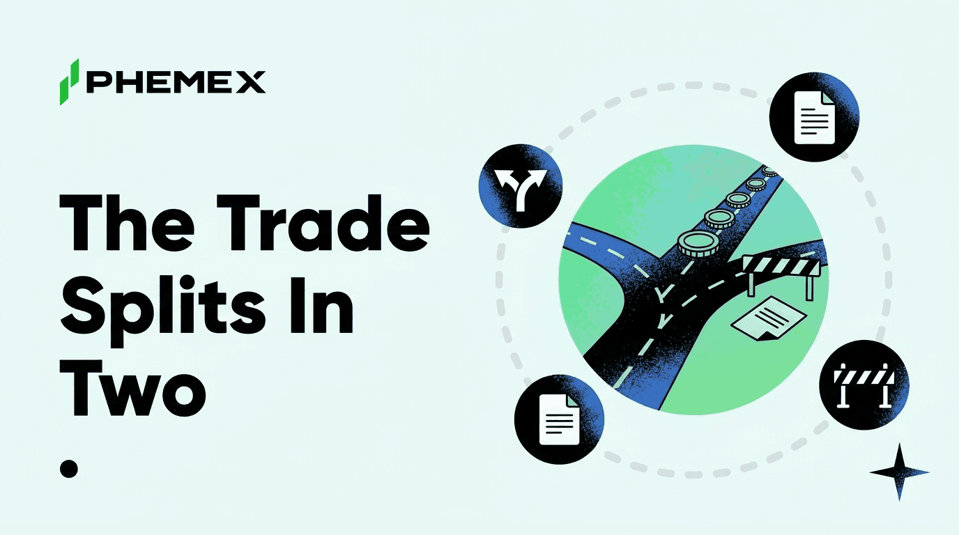Guía: Cómo el ETF de Altcoins se divide y el papel de XRP