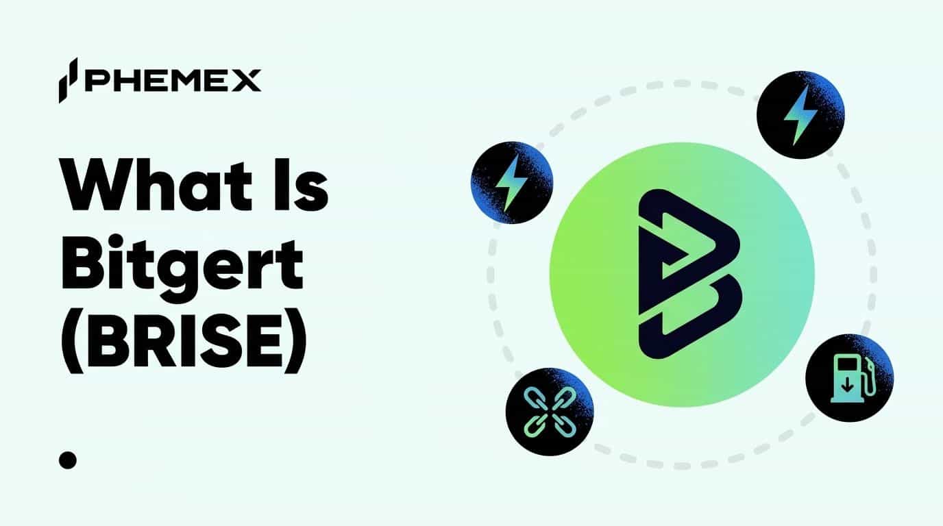 What Is Bitgert (BRISE) and Why It Surged 232% to Become CoinGecko's Top Trending Coin