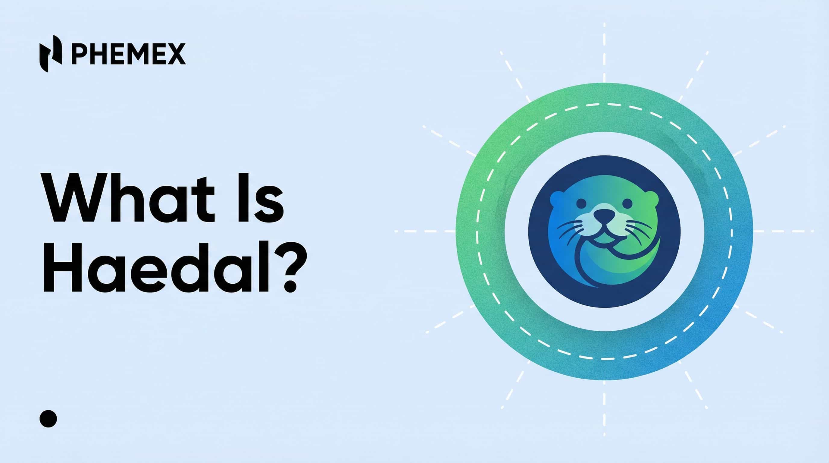 Haedal（HAEDAL）とは？価格推移・Suiステーキングプロトコル・2026年の購入方法