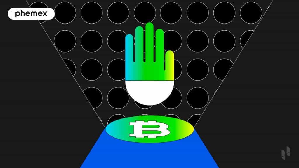 What is Bitcoin Dominance: How to Use BTCD to Trade Bull & Bear Markets