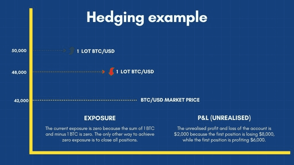 BTC Hedging Example