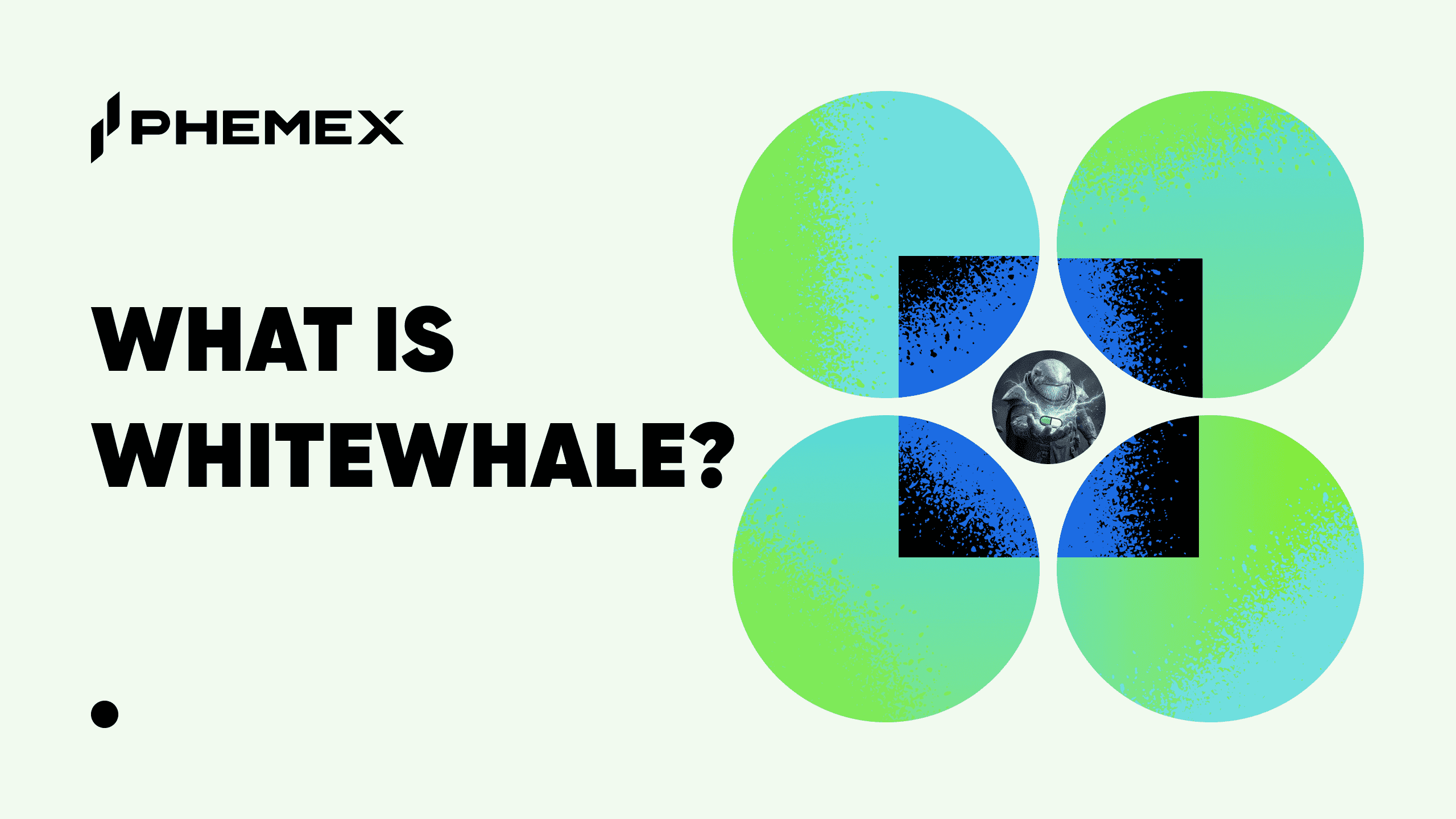 ホワイトホエール（WHITEWHALE）ガイド2026：Solanaミームコイン