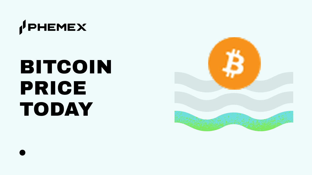 Prix du Bitcoin en USD aujourd'hui : BTC repasse au-dessus de 81 000 $ alors que la reprise s’accélère