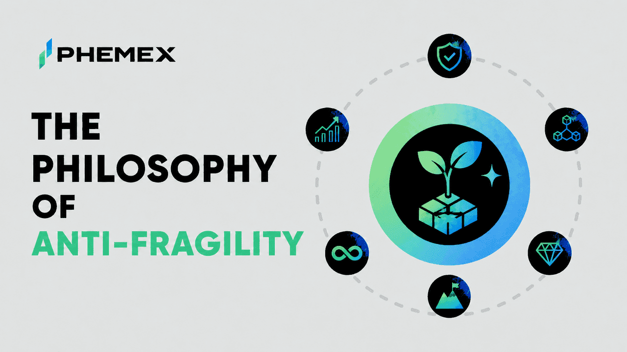 Философия антихрупкости: почему мы следим за протоколом AFX