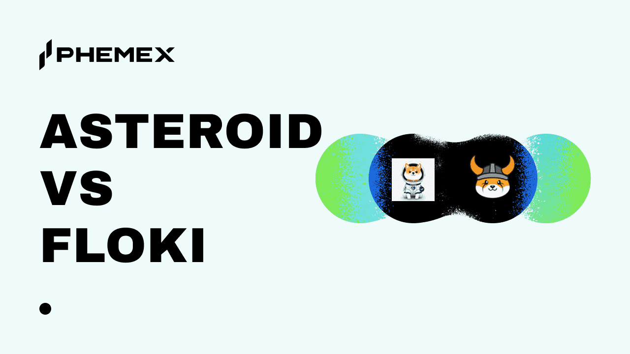 Asteroid vs FLOKI: 지금 어떤 밈코인이 더 강세인가?