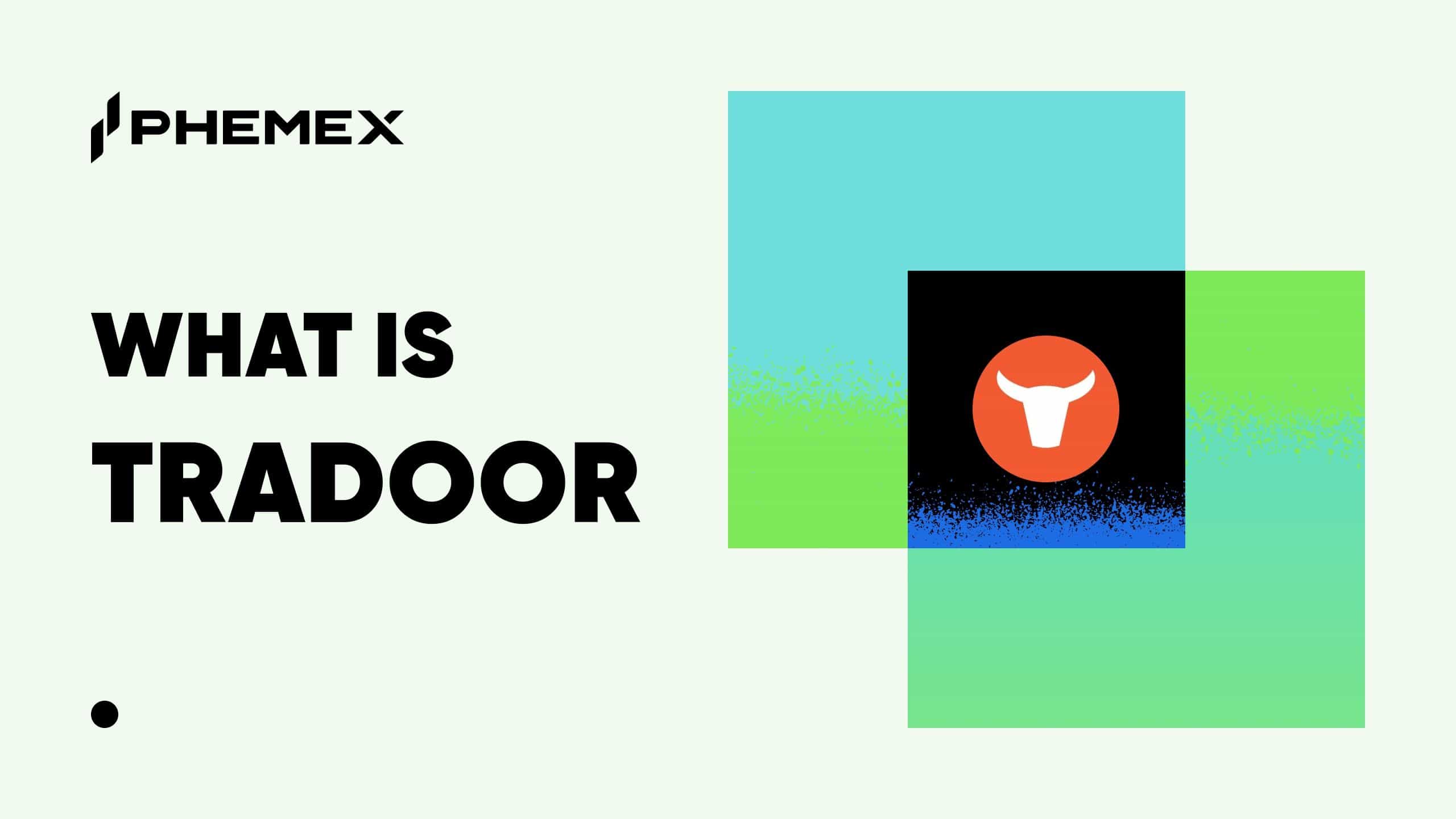 Tradoor (TRADOOR) : Guide Pro sur la plateforme DeFi trading à effet de levier