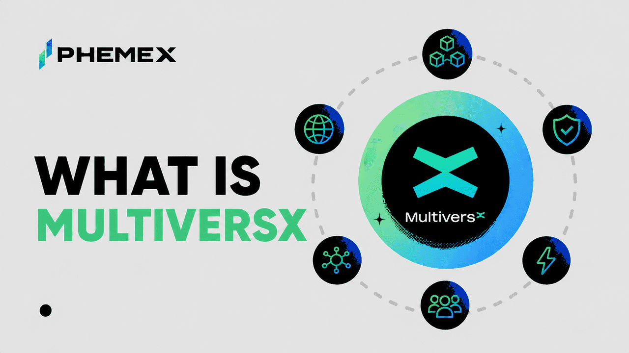MultiversX (EGLD) Guide: Alles zur Kryptowährung erklärt