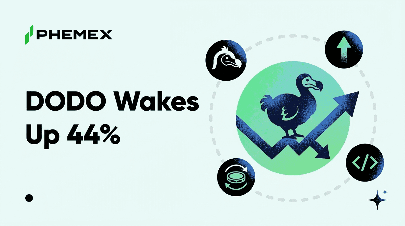 Обновление DODO ChainPilot: основные изменения и причины роста токена на 44%