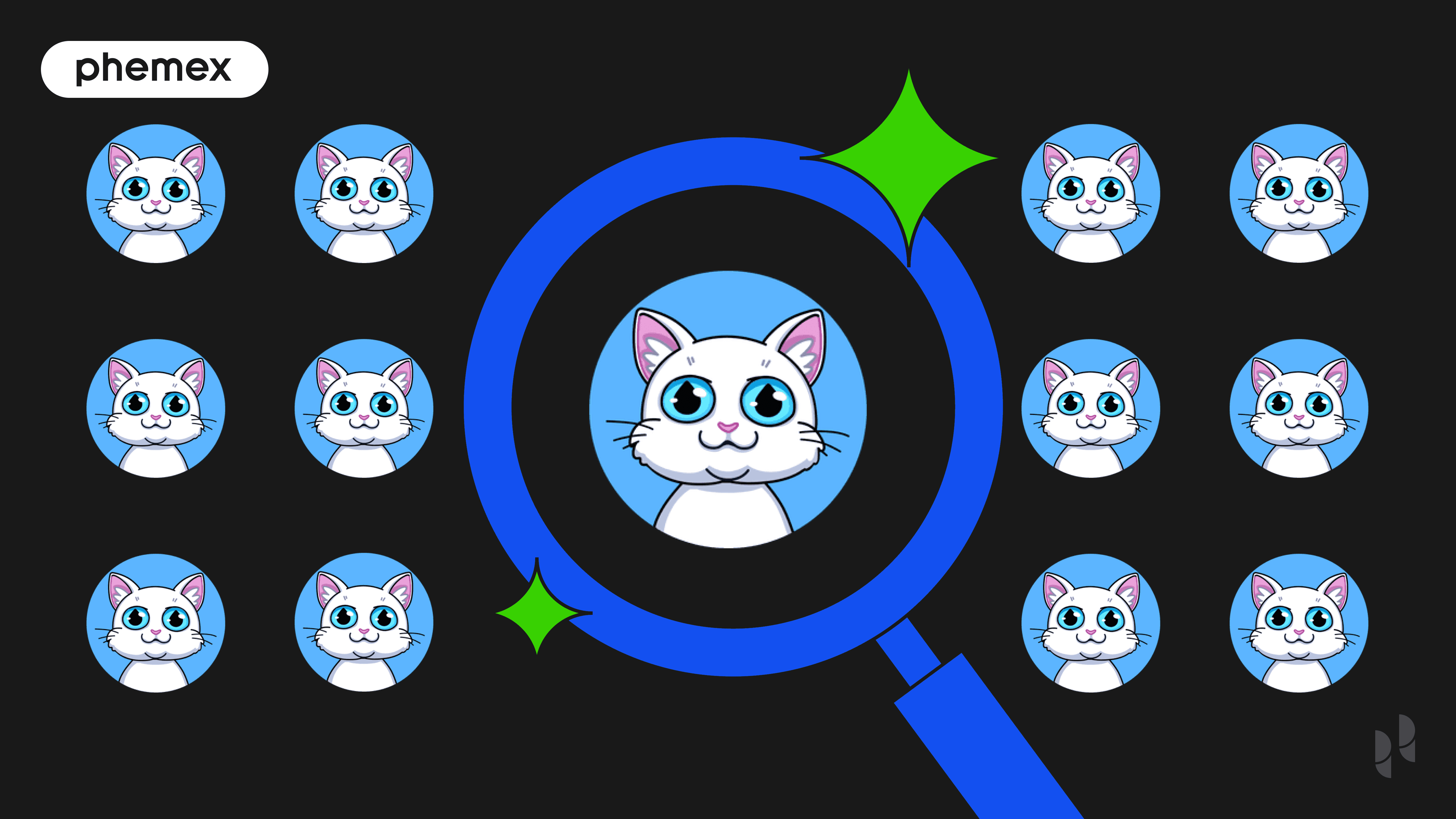 Miu Coin là gì? Memecoin Chủ đề Mèo Đang Bùng Nổ trên Thị Trường