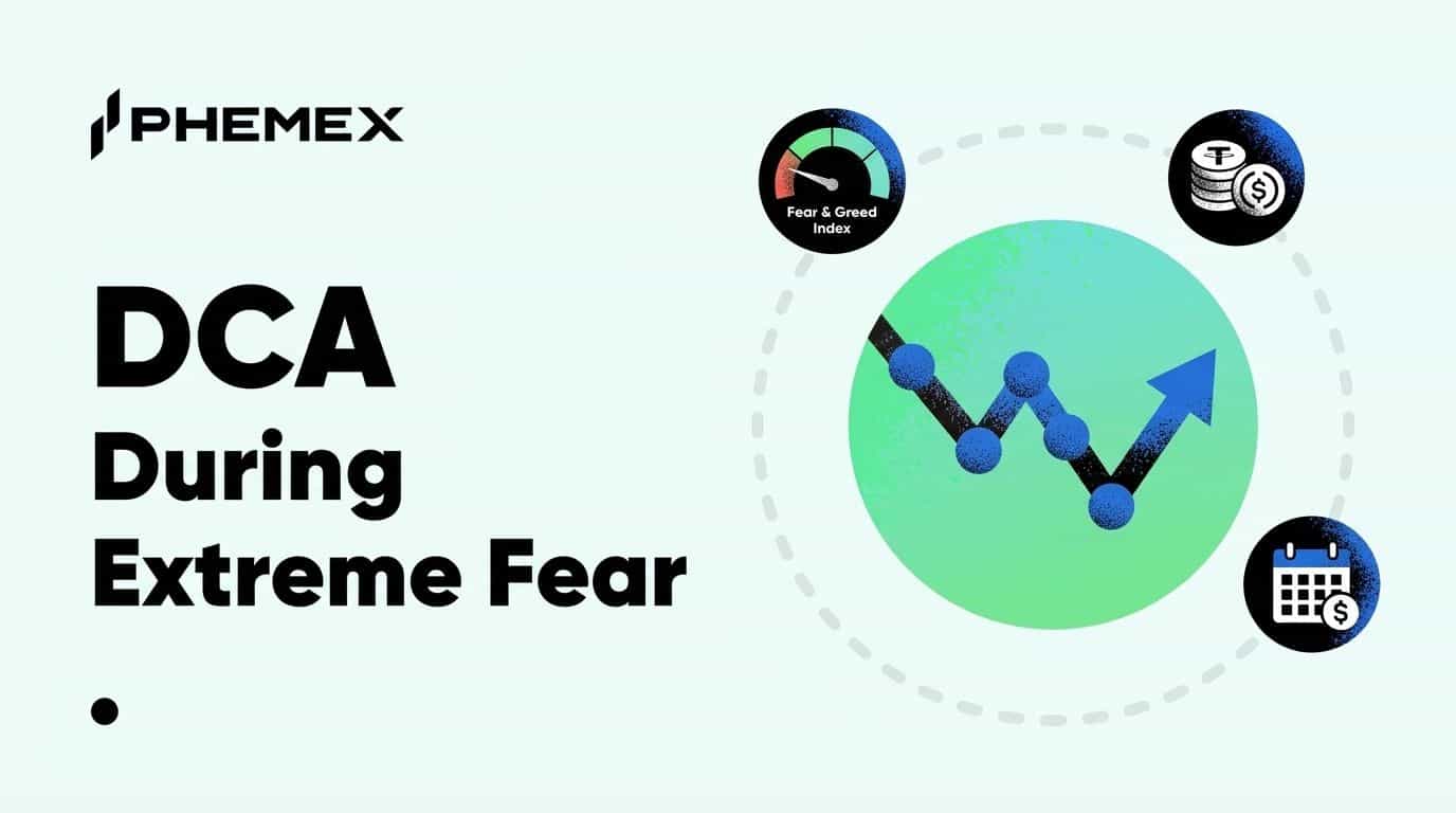 Performance du DCA lors des Périodes de Peur Extrême : Analyse sur 5 Ans