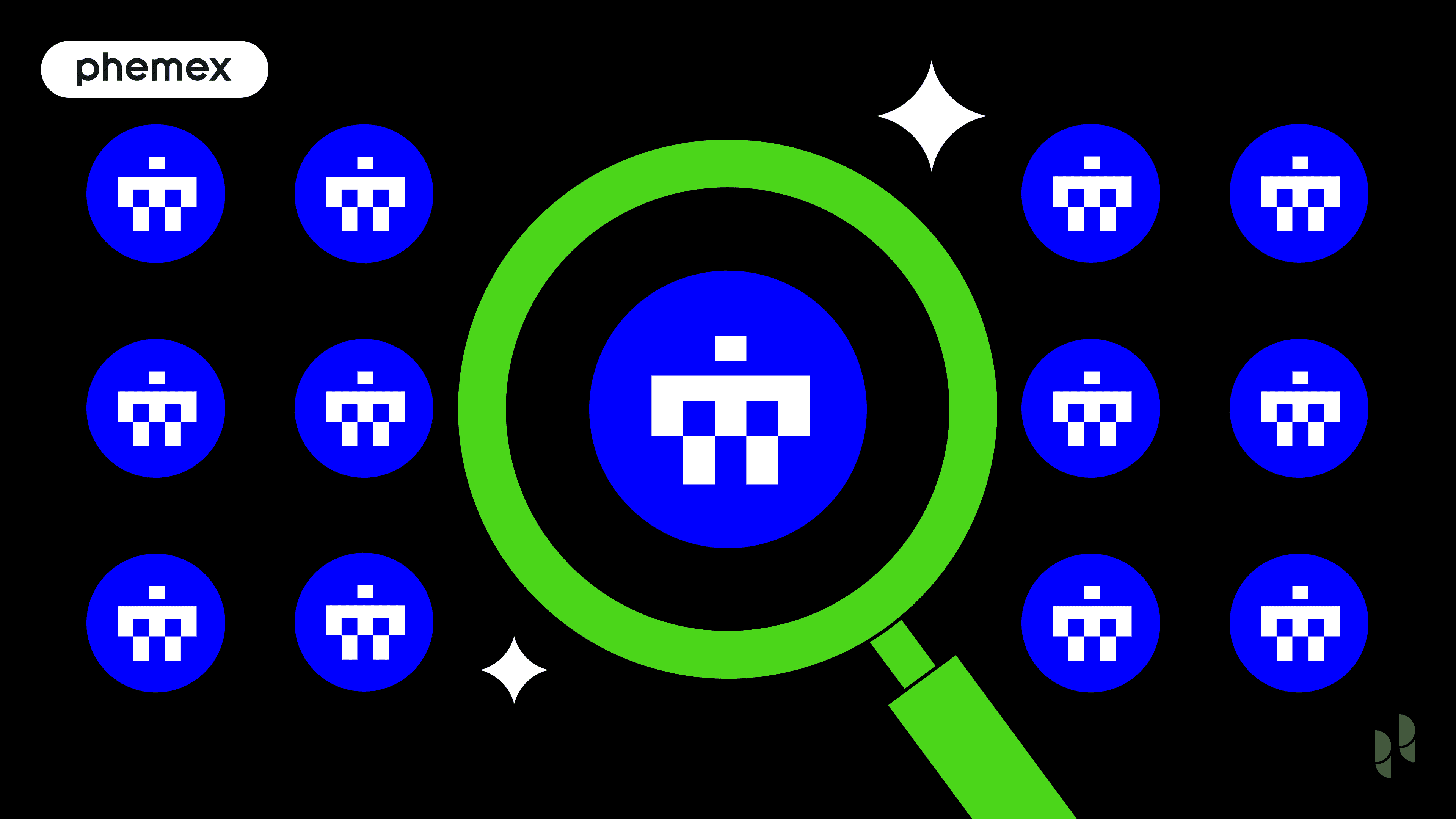 What is SAPIEN？