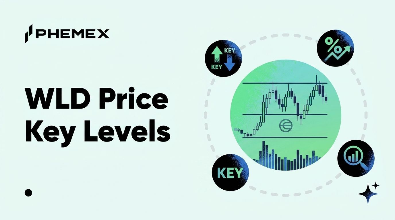 Worldcoin Price Analysis and the Key Levels WLD Traders Are Watching
