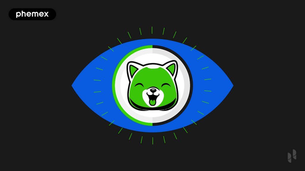 What is Kishu Inu Ponzi or Next BlueChip Meme Coin? Phemex Academy