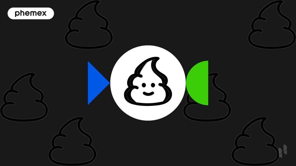 What is PooCoin: One of The Largest DeFi Analytics Sites