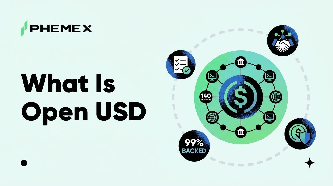 Open USD란? 비자, 마스터카드, 블랙록이 지원하는 파트너 중심 스테이블코인
