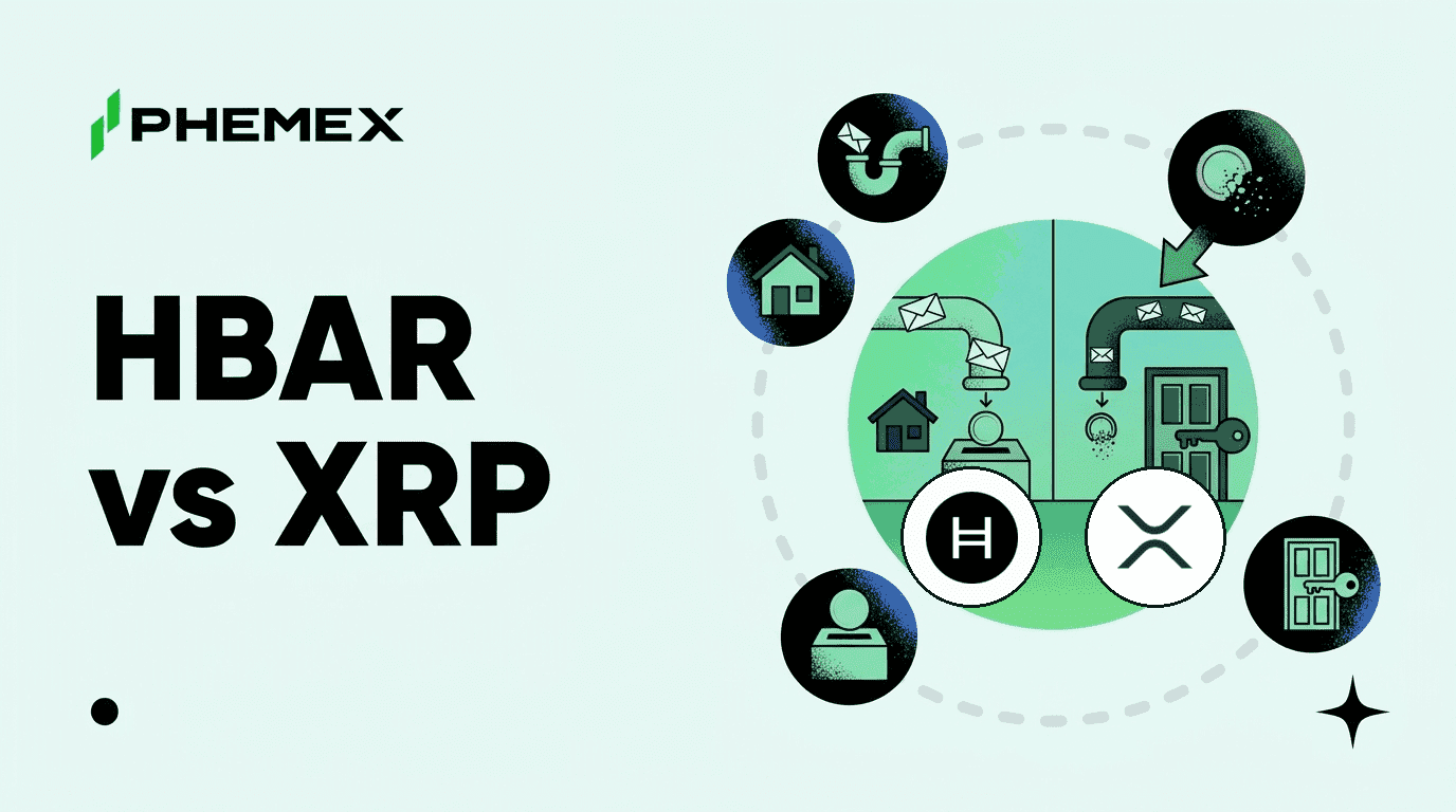HBAR vs XRP: Qual Rede É Mais Barata para Enviar Pagamentos?