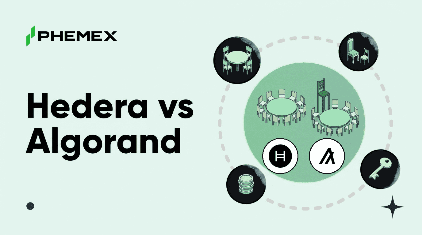 Hedera vs. Algorand: Welches Netzwerk ist besser?