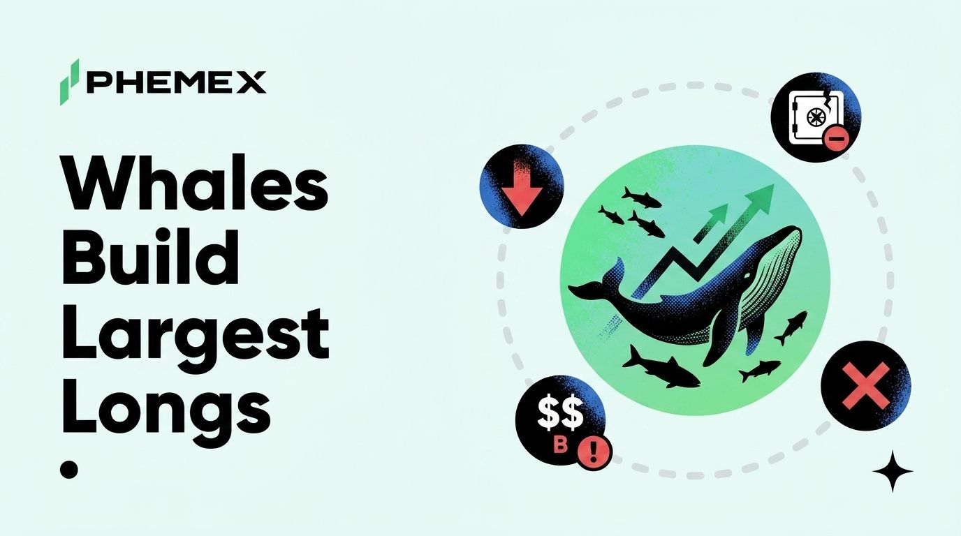 ビットコインクジラ、大規模なロングポジションを構築中｜市場全体は弱気継続