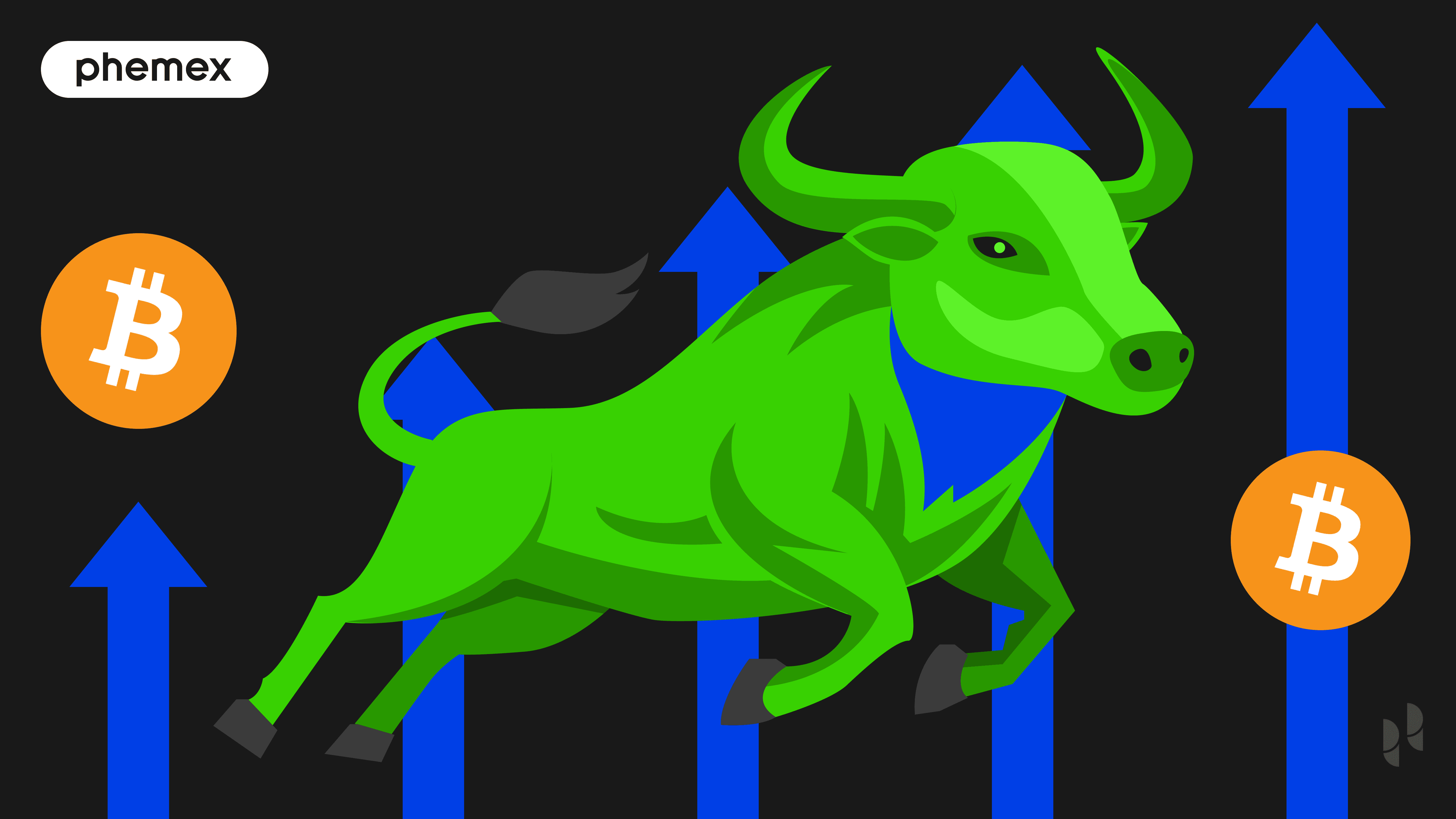Craziest Mania Moments from Crypto Bull Markets