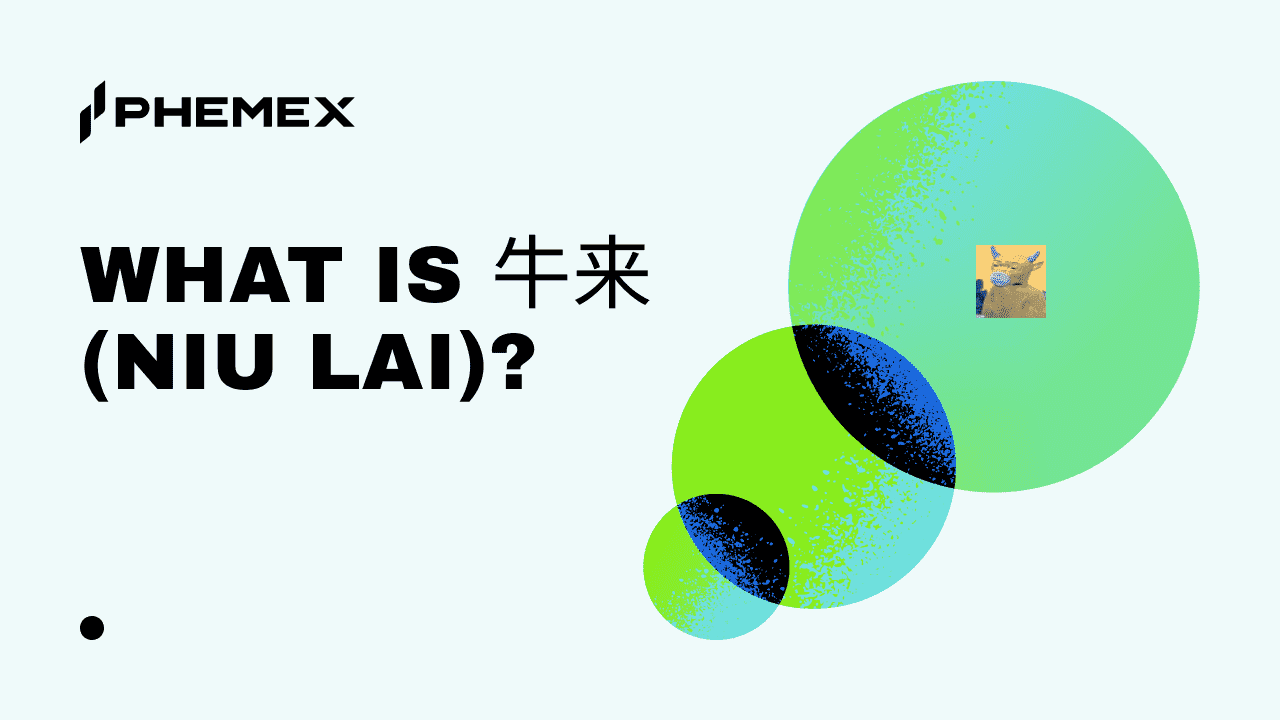 Guia Completo: O que é Niu Lai? Meme Coin Viral na BNB Chain