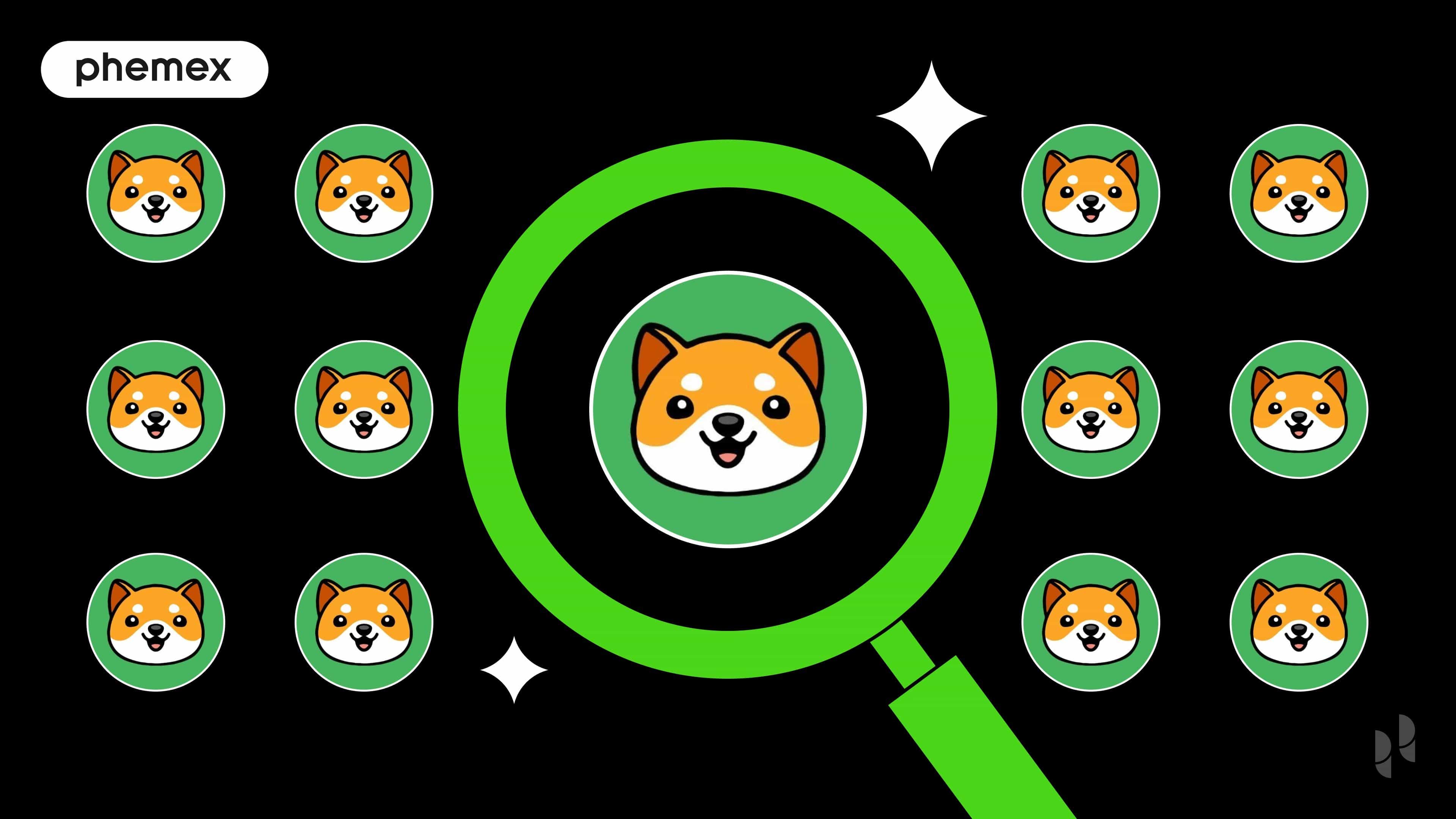 Guide Baby Doge Coin (BabyDoge) : Tout savoir sur la crypto virale