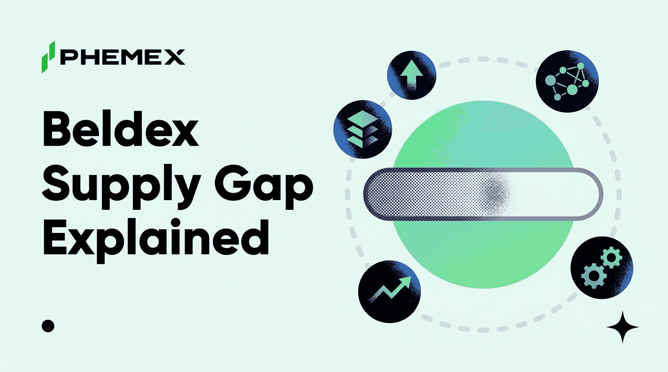 What Is Beldex and Why 2 Billion BDX Are Unlisted?