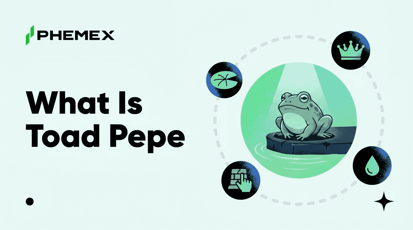 Toad Pepe (TOAD) Guide: Solana-Token steigt 66% – Gründe & Prognose