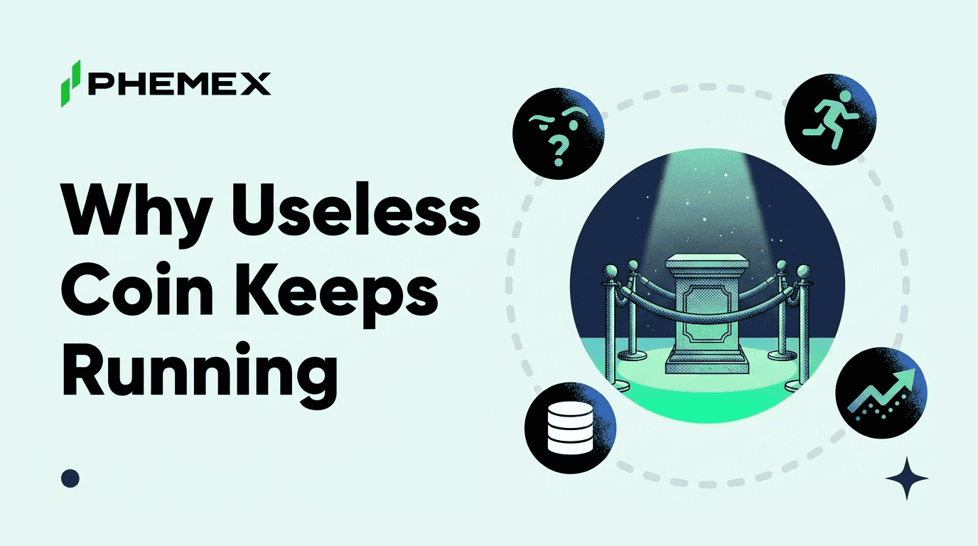Why Useless Coin Runs When Nothing About It Changes