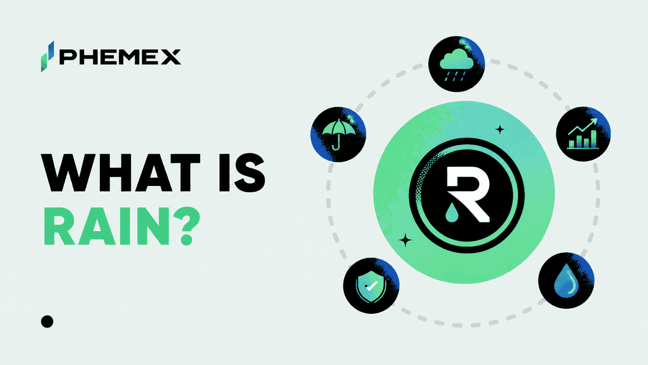 RAIN là gì? Giải thích về giao thức Rain và token quản trị