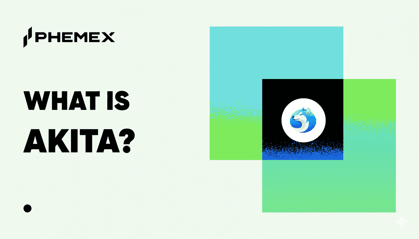 Qu'est-ce que Akita Inu ? Prix du jeton AKITA, histoire et comment l'acheter