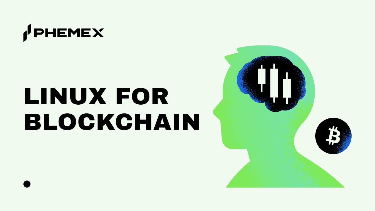 Linux para blockchain: cómo configurar y ejecutar un nodo completo en Ubuntu