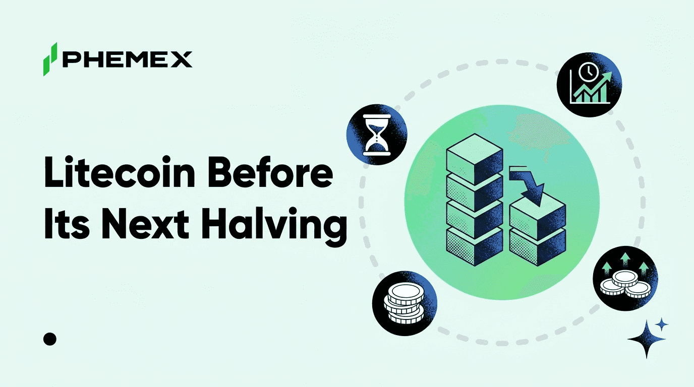 Where Litecoin Stands Before Its Next Halving