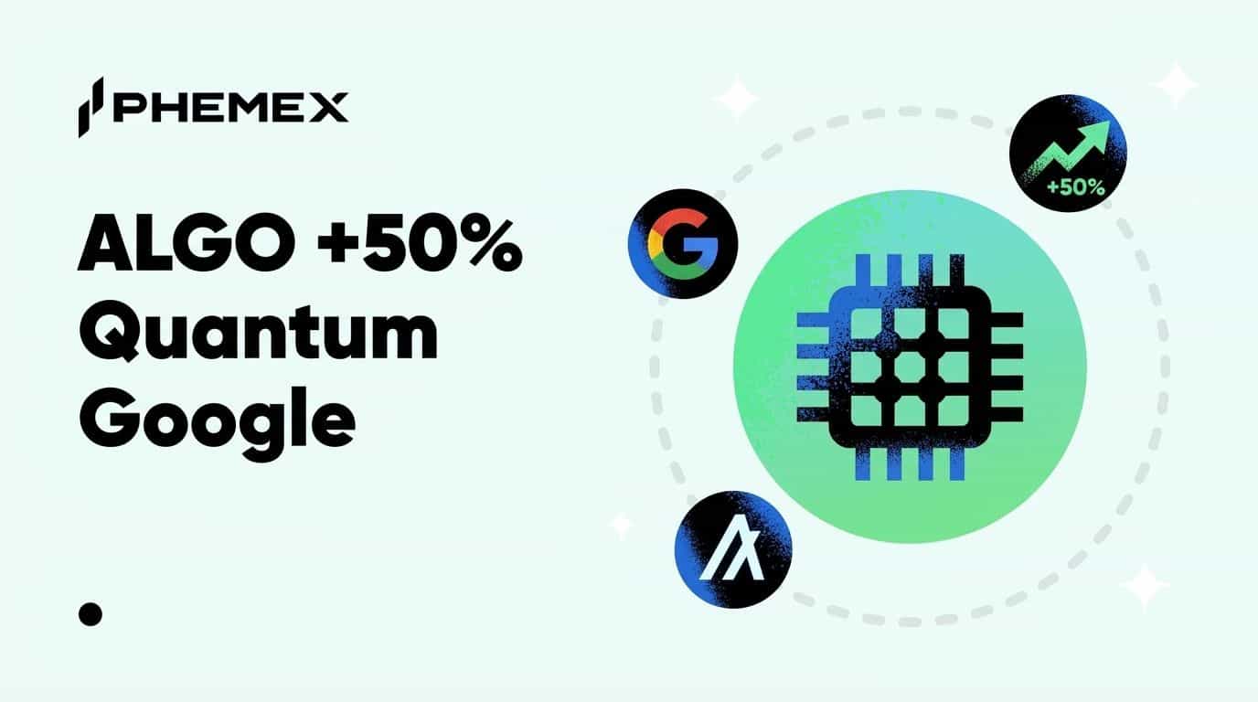 Algorand: рост на 50% благодаря исследованию Google Quantum AI по квантовой безопасности