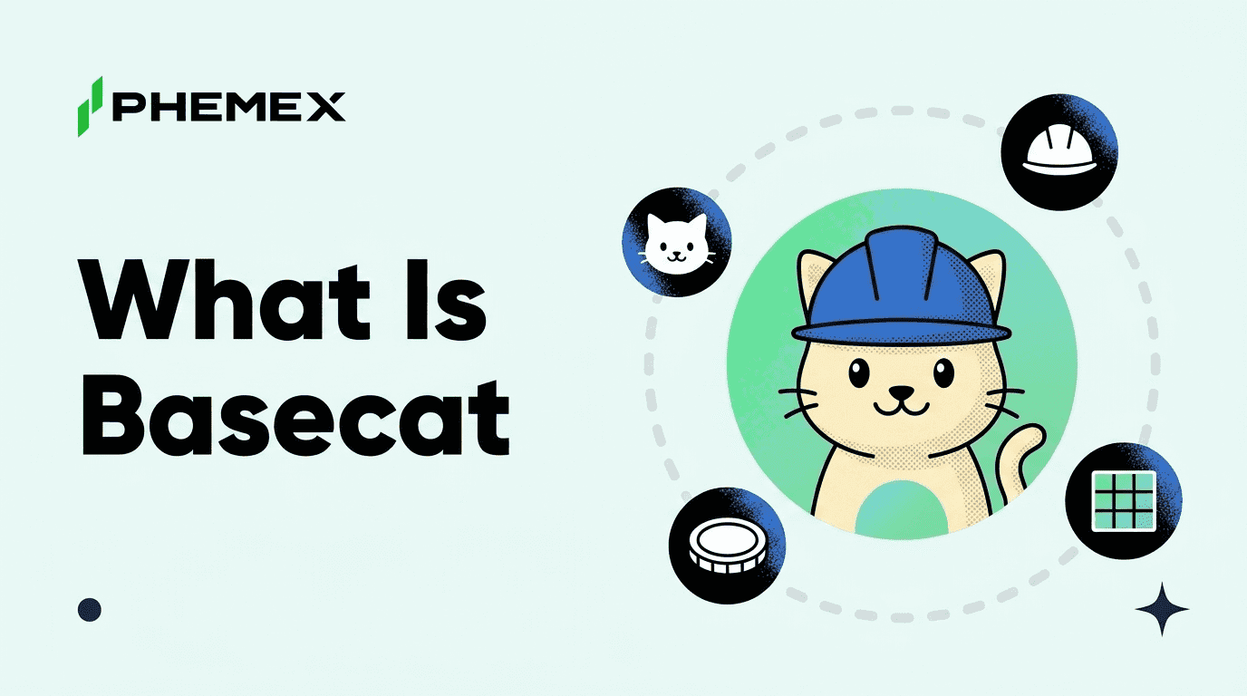 What Is Basecat and Why the Base Cat Token Ran 3,000% in a Day