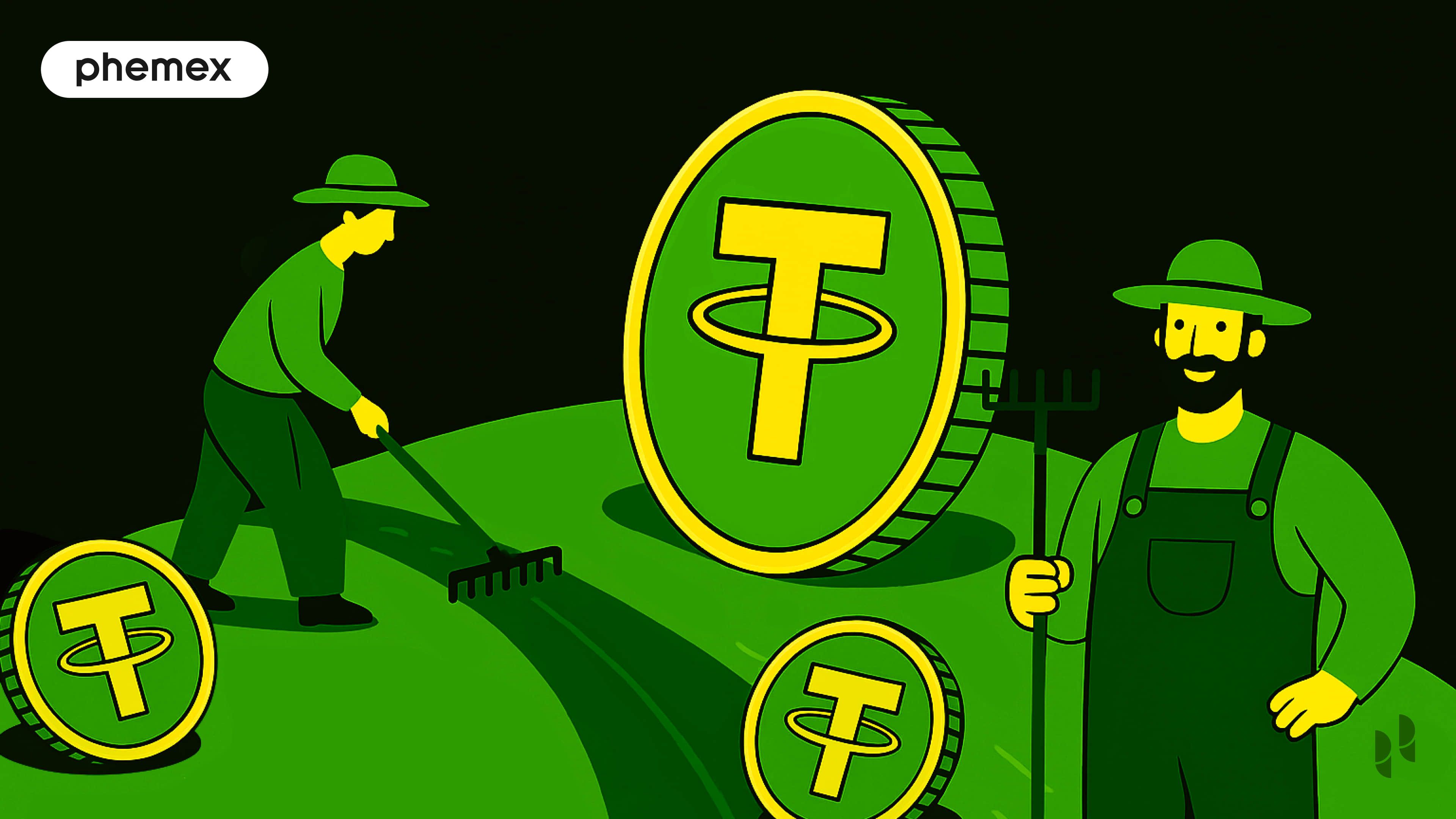 Top Cơ Hội Kiếm Lãi Với Stablecoin Năm 2025 (On-Chain + CeFi)