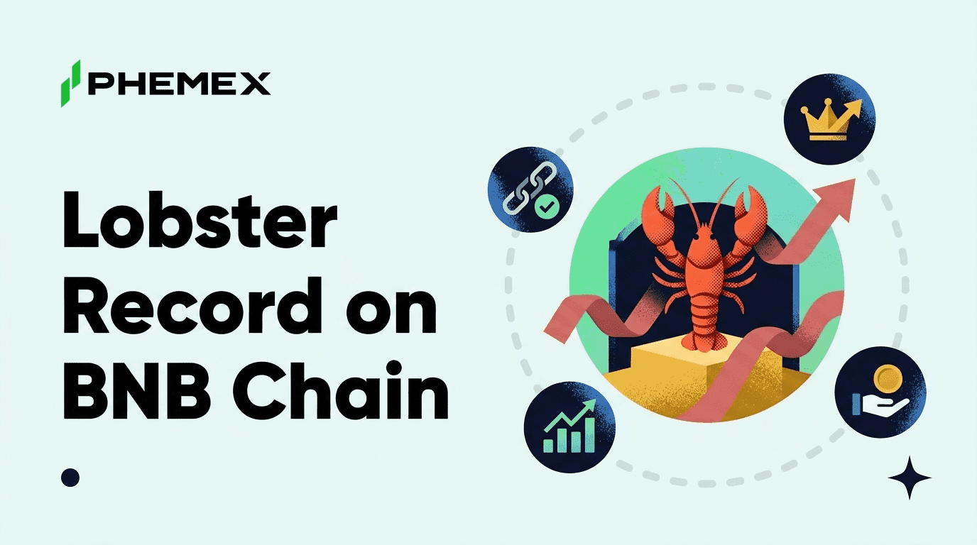 Why Lobster Set a Record on BNB Chain in a Red Week