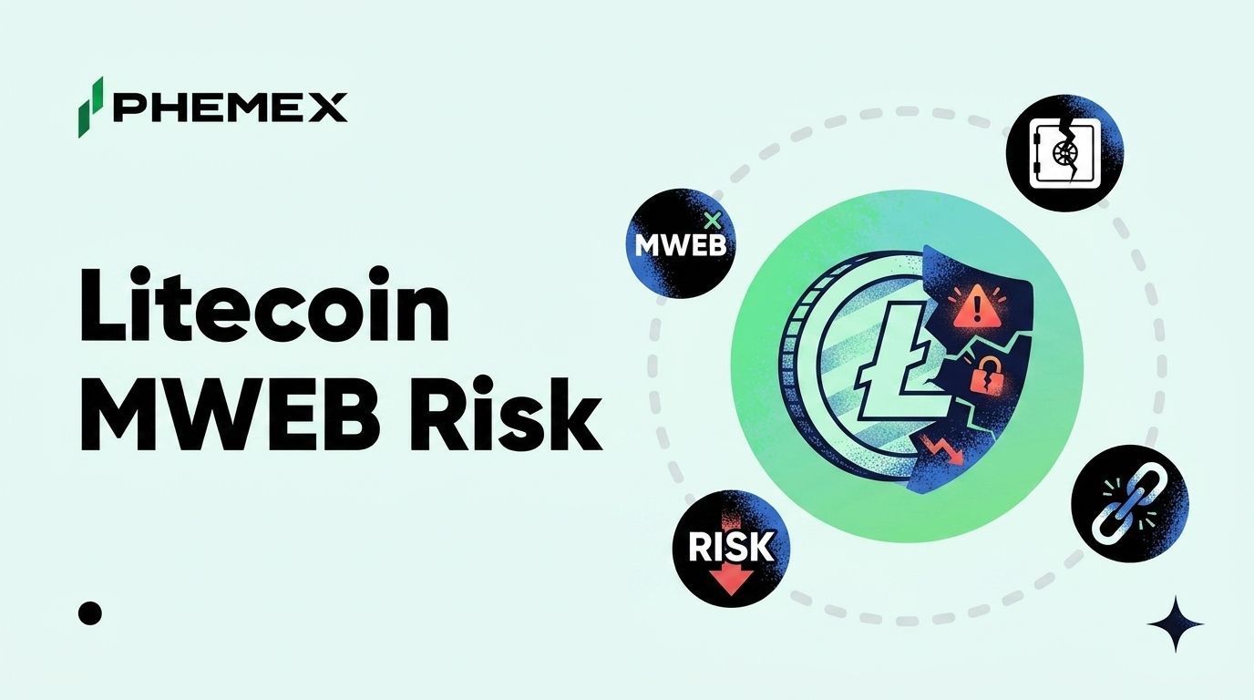 ライトコイン（LTC）とは？MWEBプライバシー層の脆弱性と13ブロック再編のリスク解説