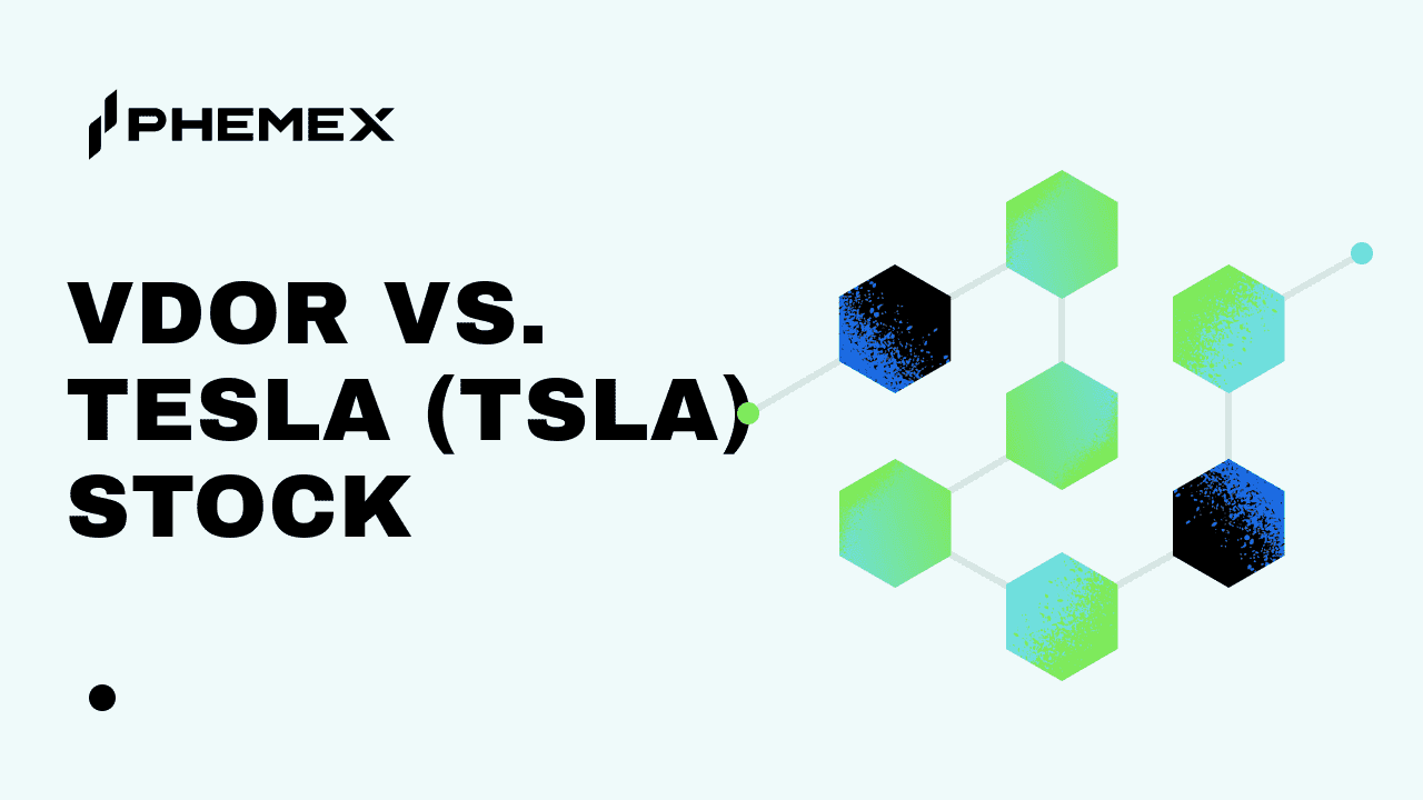 VDOR vs 테슬라(TSLA) 주식: 2026년 더 높은 위험은 무엇인가?