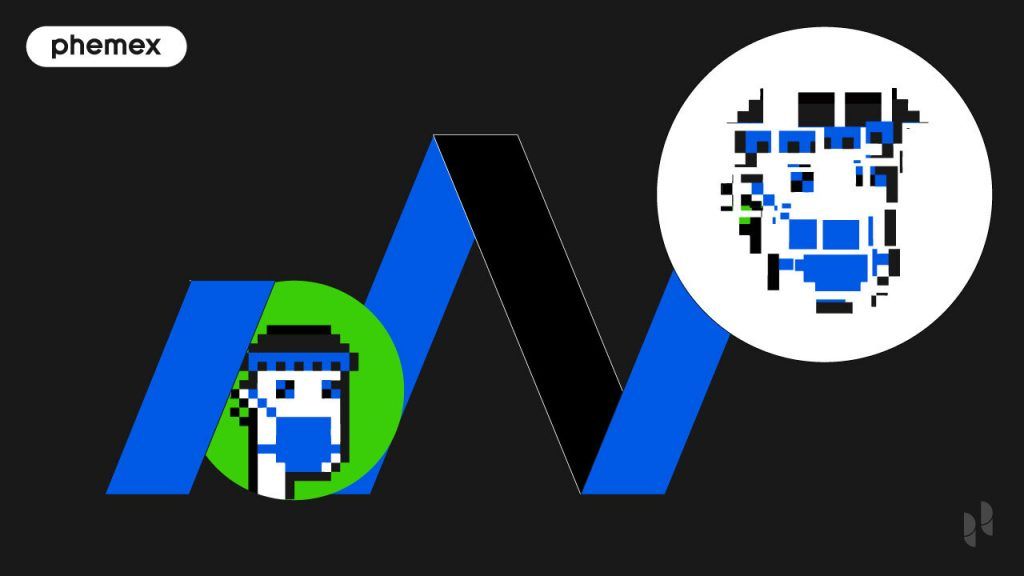 What Are Fractional NFTs: Should You Be Buying Them?